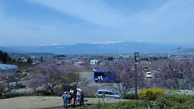 DSC00342.jpg