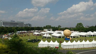 DSC00476.jpg