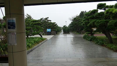 DSC00740.jpg