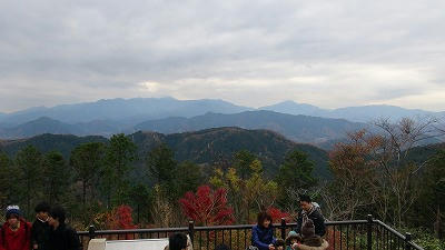 DSC00819.jpg