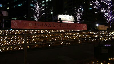 DSC00876.jpg