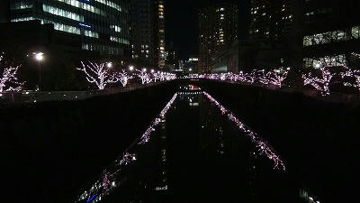 DSC00870.jpg