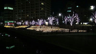 DSC00874.jpg