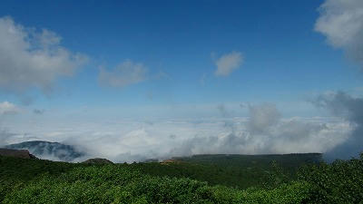 DSC01132.jpg