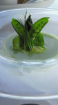 200805181328001.jpg