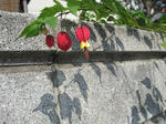 7f1449e7.jpg