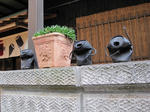 b04bb549.jpg