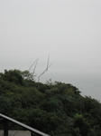 768d370a.jpg