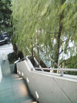 120928_171713.jpg