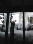 130226_131351.jpg