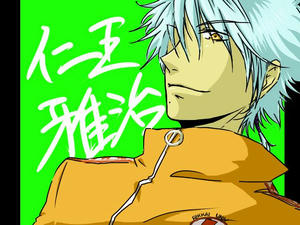 Niou-01.jpg