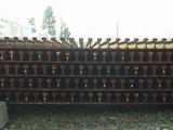 P1010025.jpg