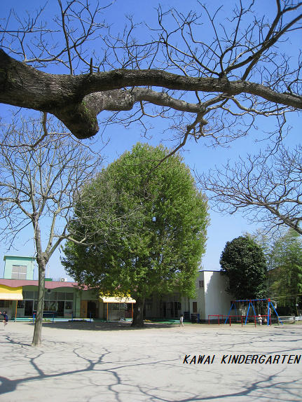 2fd327ae.jpg