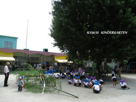 01885f08.jpg