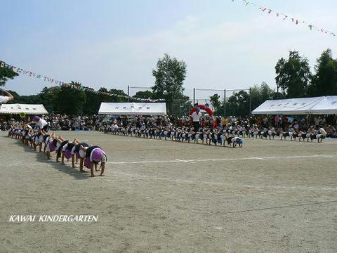 P1040668.jpg