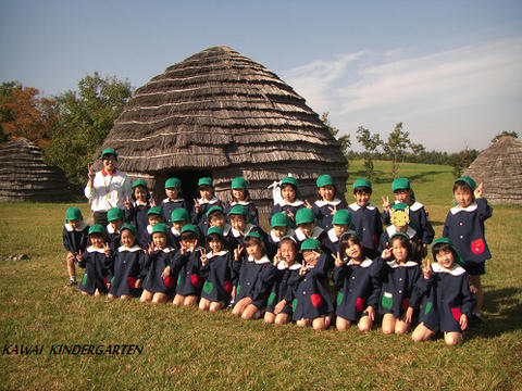 d6610e19.jpg