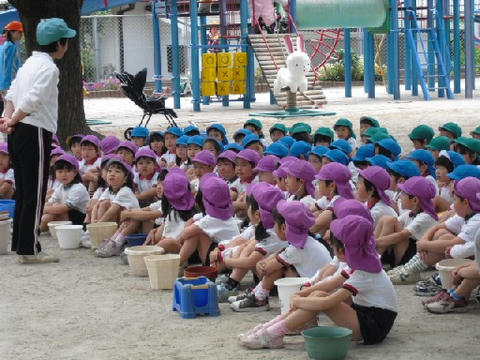 asagao1.JPG