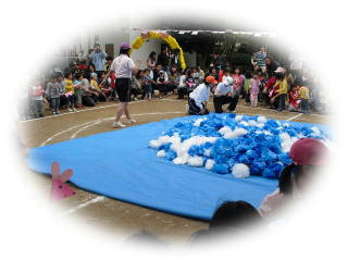 tibikko24.jpg