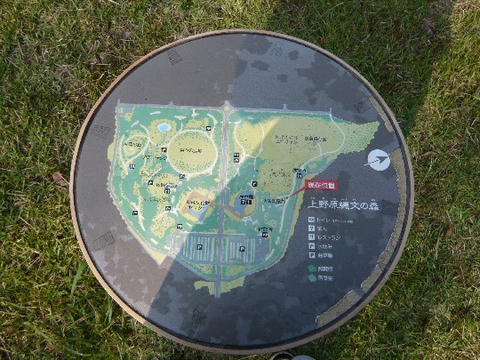 P1010423.JPG
