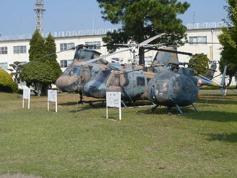 P1010451.JPG
