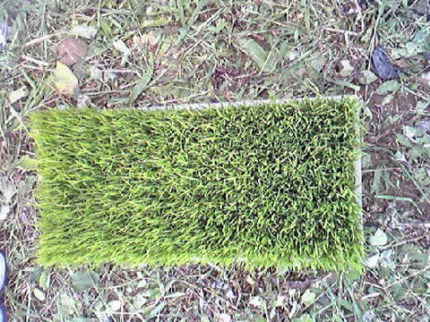 Image050.jpg