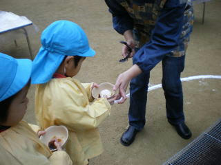 moti-hiyoko1.jpg