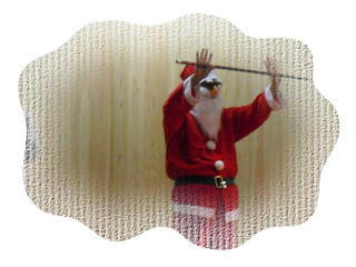 xmas18.jpg