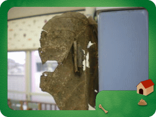 rako1-6-3.gif