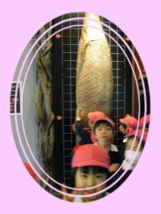 photo15.jpg