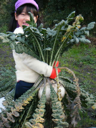 206syuukakusai2.jpg