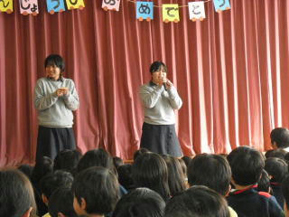 2-bd11.jpg