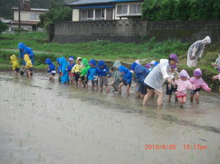 6125taue3.jpg