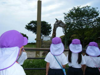 zoo1.jpg