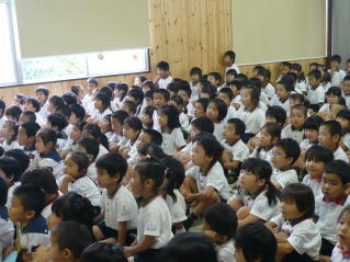 9bd11.jpg