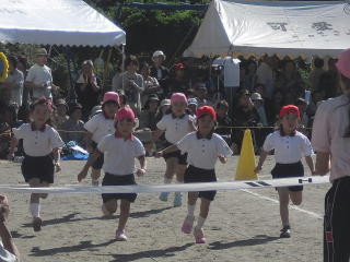 3tyu-run3.jpg