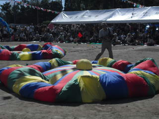 6balloon8.jpg
