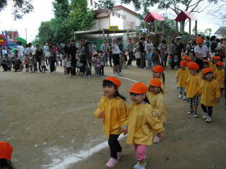 tibikko2-2jpg