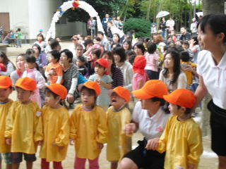 tibikko3-4.jpg