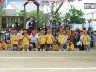tibikko5-2.jpg