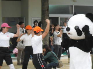 tibikko10-3.jpg