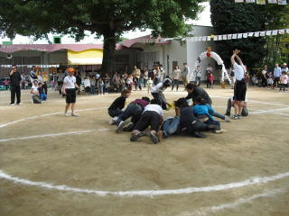 tibikko12-1.jpg