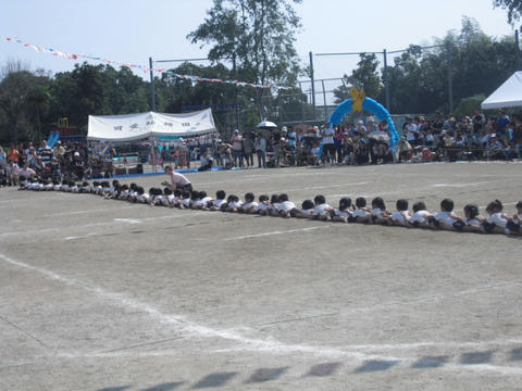 ce405932.jpg