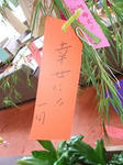 tanabata2.JPG