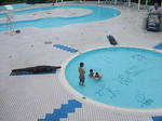 pool190902.JPG