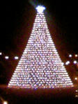 xmas_tree.jpg