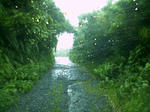 11fe943ejpeg