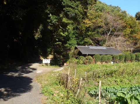 大和葛城山（弘川寺道ルート）