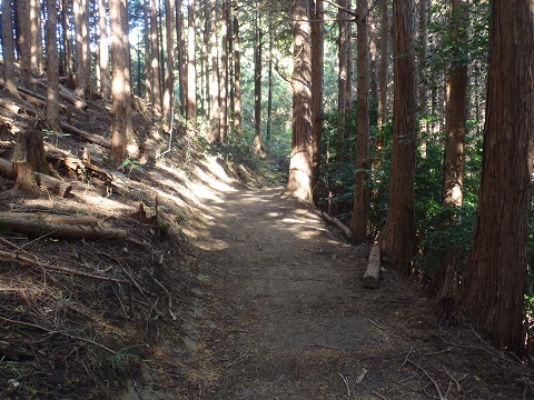 大和葛城山（弘川寺道ルート）