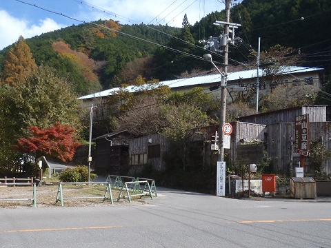 金剛山（千早本道・タカハタ谷ルート）