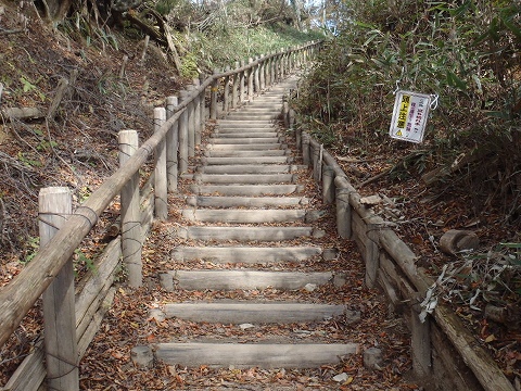 金剛山（千早本道・タカハタ谷ルート）